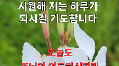 목회자의 마지막 소원, 성도가 천국애 입성하는 것 (담임목사 신비한 목회 체험기)
