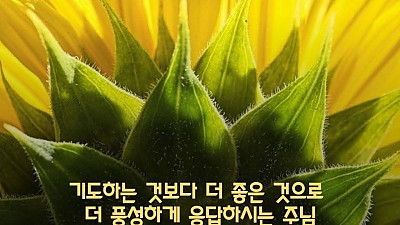 병을 고쳐주시는 이유는 주의 사명 감당하라고 (담임목사 신비한 목회 체험기)