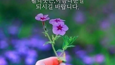2025년 8월 17일