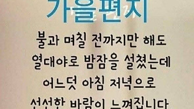 2025년 9월 28일