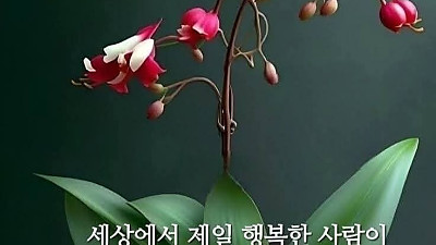 2025년 10월 19일