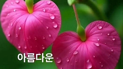 하나님의 말씀에 순종하며 사는 다윗을 지켜주신 하나님 (삼상23:1-14) 2025년 11월 30일 주일대 예배