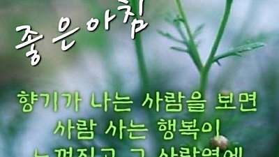 다윗에게 골리앗은 왕이 되는 시험대였습니다.(삼상17:34-37) 2025년  9월  14일  주일대예배