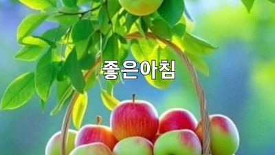 범사에, 항상 감사하라(엡5:19-21)  2025년 10월 19일 주일대예배 설교